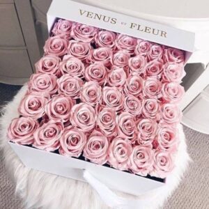 Venus_et_Fleur_Pink_Roses