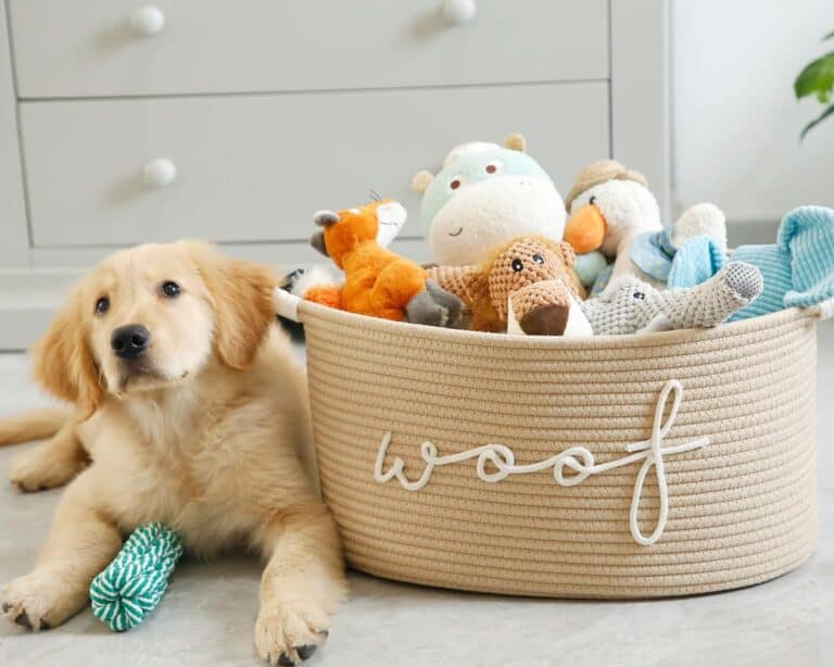 The Ultimate Dog Mom Gift Guide 2025