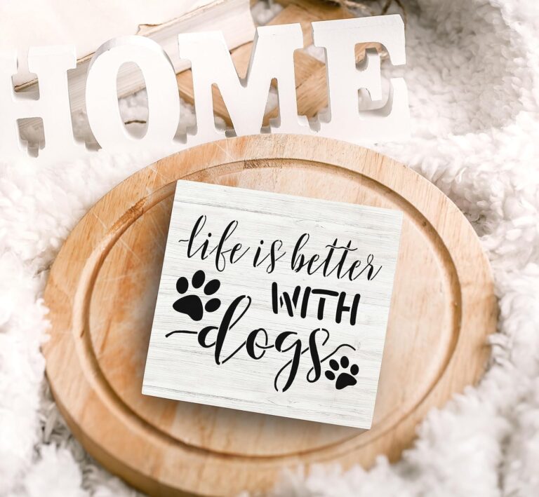 Amazon Finds Every Dog Mom Actually Uses (Practical, Cozy & Aesthetic)
