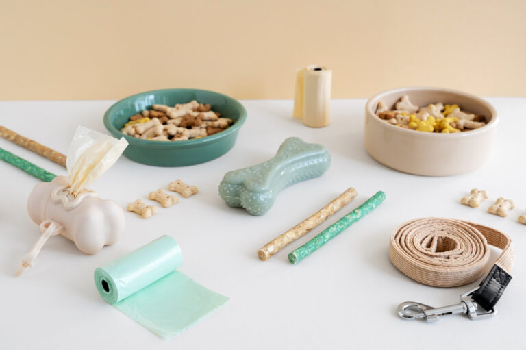 Dog Mom Everyday Essentials I Actually Use